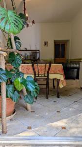 Acheter Maison 246 m2 Millau