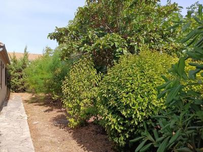For sale Muy 4 rooms 70 m2 Var (83490) photo 2