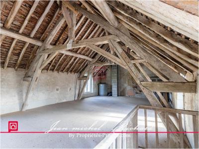 Acheter Maison Chemery Loir et cher