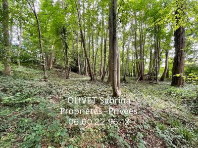 Annonce Vente Domaine forestier Quincampoix 76