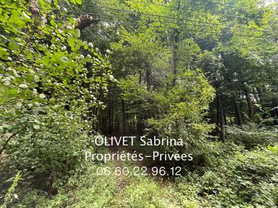 Acheter Domaine forestier Quincampoix 59000 euros