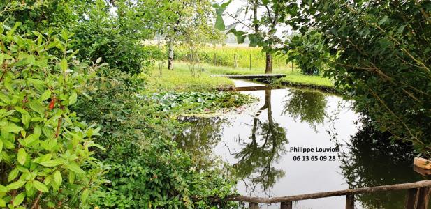 For sale Duras 7 rooms 146 m2 Lot et garonne (47120) photo 1