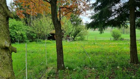 Annonce Vente Terrain Saint-genest-malifaux 42