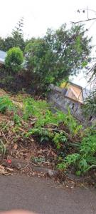 Annonce Vente Terrain Trois-bassins 974