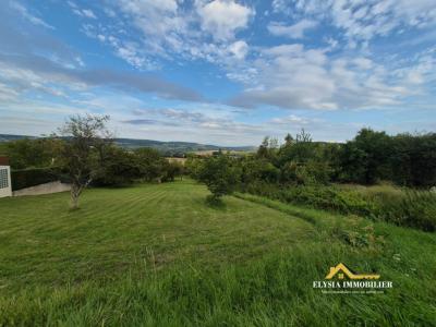 Annonce Vente Terrain Preny 54