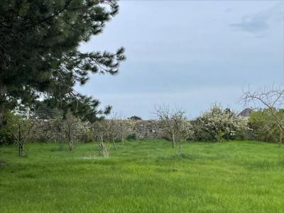 Acheter Maison Saint-coulomb Ille et vilaine
