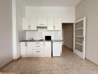 For rent Nice 1 room 30 m2 Alpes Maritimes (06000) photo 3