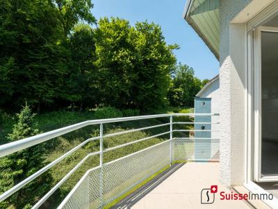 Annonce Vente Immeuble Montbeliard 25