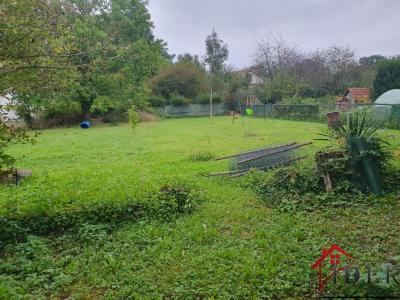 For sale Villiers-en-lieu 11 rooms 314 m2 Haute marne (52100) photo 2