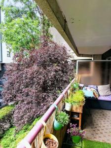 Acheter Appartement 57 m2 Clermont-ferrand