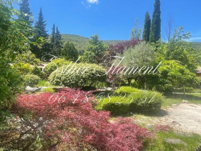 Acheter Maison Anduze 495000 euros