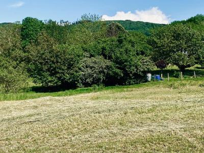 Annonce Vente Terrain Saint-amour 39