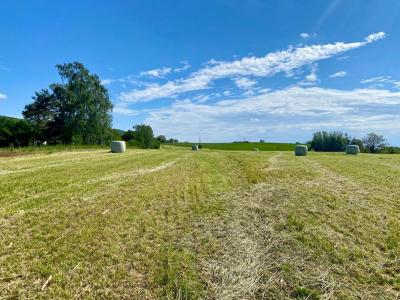 Acheter Terrain 4000 m2 Saint-amour