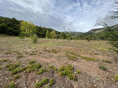 Acheter Maison Felines-minervois 85000 euros