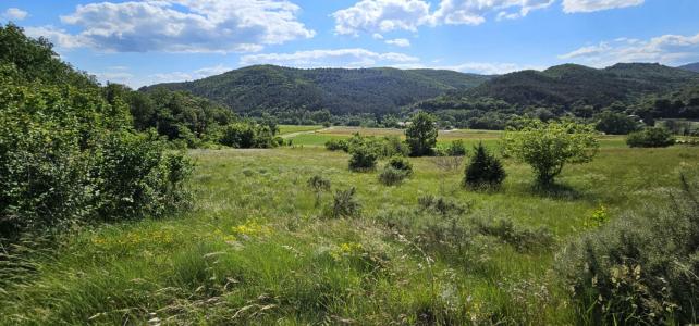Annonce Vente Terrain Alba-la-romaine 07