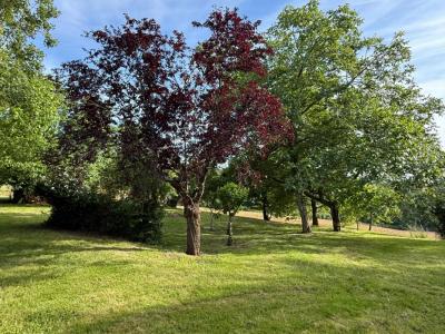For sale Beaumarches 4 rooms 107 m2 Gers (32160) photo 3