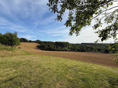 For sale Beaumarches 4 rooms 107 m2 Gers (32160) photo 4