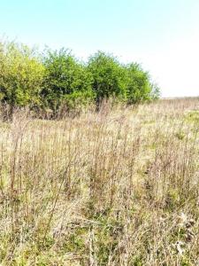 For sale Marest-dampcourt 503 m2 Aisne (02300) photo 0
