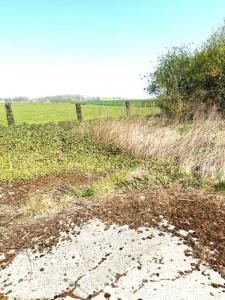 For sale Marest-dampcourt 503 m2 Aisne (02300) photo 1