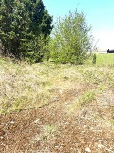 For sale Marest-dampcourt 503 m2 Aisne (02300) photo 3