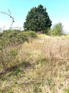For sale Marest-dampcourt 503 m2 Aisne (02300) photo 4