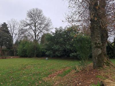 For sale Chapelle-caro VAL-D-OUST 1000 m2 Morbihan (56460) photo 2