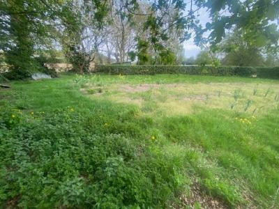 For sale Molac 2530 m2 Morbihan (56230) photo 4