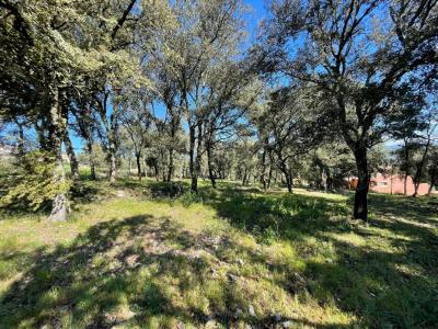 Annonce Vente Terrain Thoronet 83