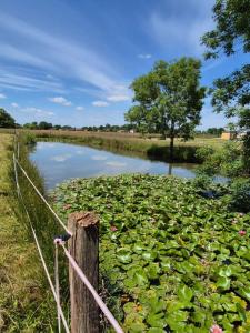For sale Montpont-en-bresse 4200 m2 Saone et loire (71470) photo 1