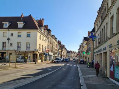 Acheter Immeuble 290 m2 Chatillon-sur-seine