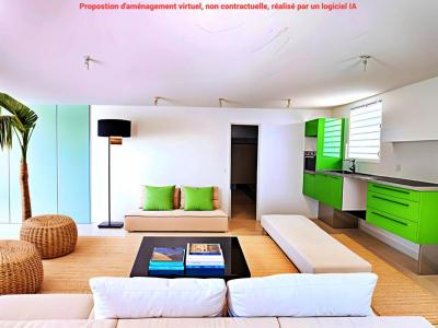 Annonce Vente 2 pices Appartement Francois 972