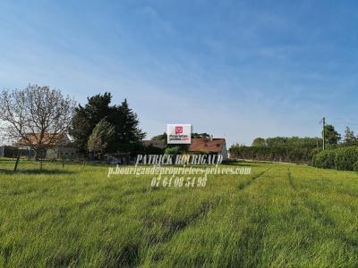 For sale Varennes 7292 m2 Indre et loire (37600) photo 0