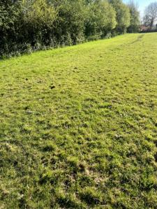 Annonce Vente Terrain Vesly 50