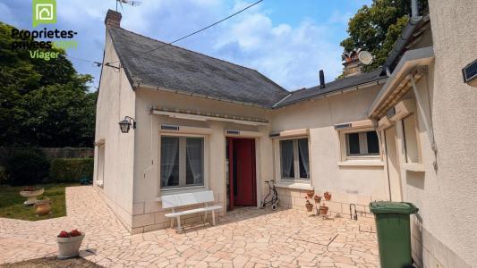 Acheter en viager Maison 78 m2 Theneuil