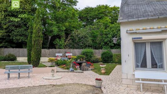 Acheter en viager Maison Theneuil 26400 euros
