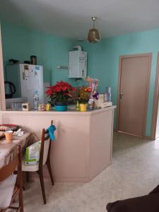Acheter Immeuble Saint-florent-sur-cher Cher
