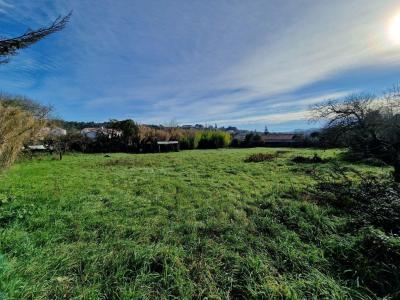 Acheter Terrain 2315 m2 