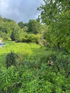 Annonce Vente Terrain  02