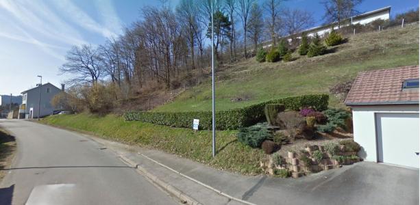 Annonce Vente Terrain  88