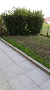Annonce Vente 2 pices Appartement  01