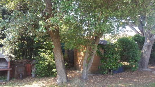 For sale Saint-michel-chef-chef 3 rooms 96 m2 Loire atlantique (44730) photo 4