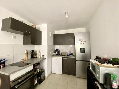 Louer Appartement Montpellier 698 euros