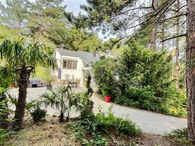 Annonce Vente 7 pices Maison Neufchatel-hardelot 62