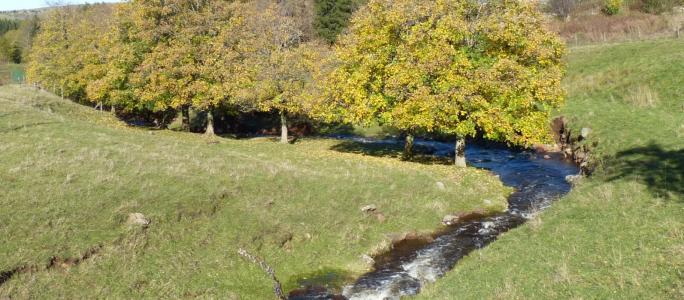 For sale Saint-front 8 rooms 136 m2 Haute loire (43550) photo 1