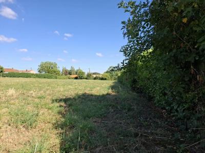 Acheter Terrain 1700 m2 Saint-michel-le-cloucq