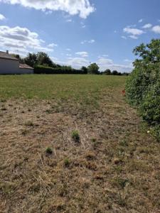 Acheter Terrain Saint-michel-le-cloucq 68590 euros