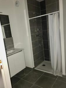 Louer Appartement Sassenage 805 euros