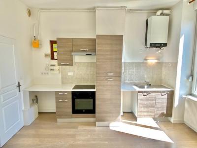 Annonce Location Appartement Villeurbanne 69