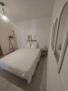 Louer Appartement Perpignan Pyrenees orientales