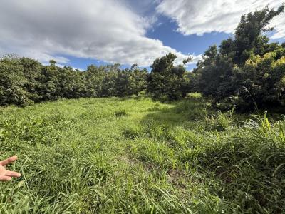 For sale Sainte-anne 9 rooms 245 m2 Reunion (97437) photo 2